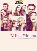 La vida en piezas (Life in Pieces) 2×04 [720p]